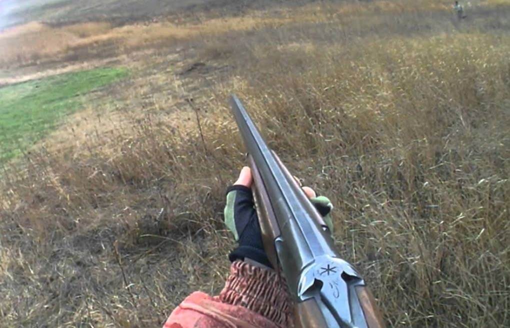 Охота на зайца Охота на зайца