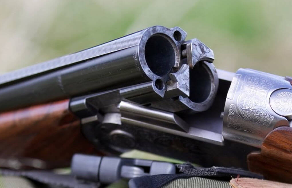 Ружье для охоты и закон Ружье для охоты и закон