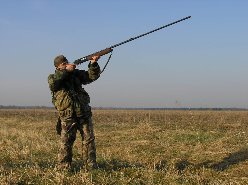 преимущества длинных стволов