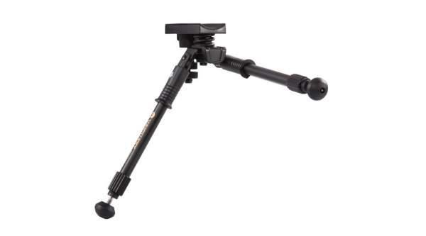 T0952398_0003 T0952398_0003