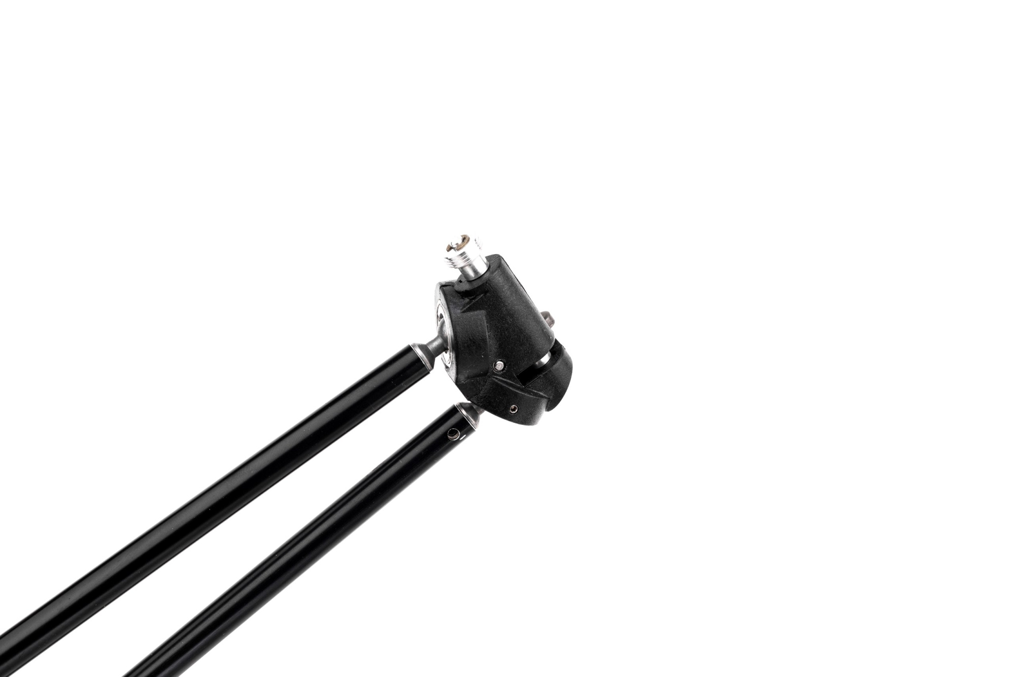 BD1A7115_resized BD1A7115_resized