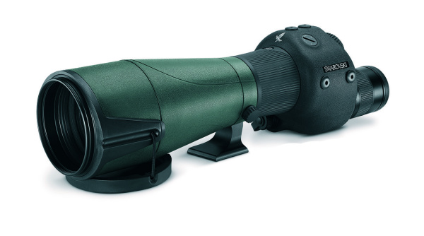 STR80_0001 STR80_0001