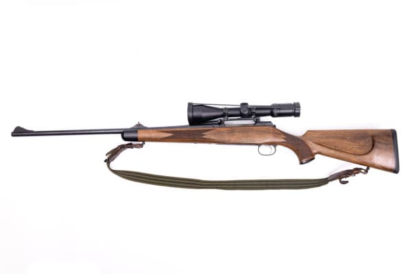 BD1A6584_resized BD1A6584_resized