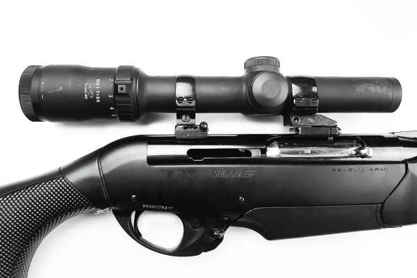 20241224_182000 20241224_182000