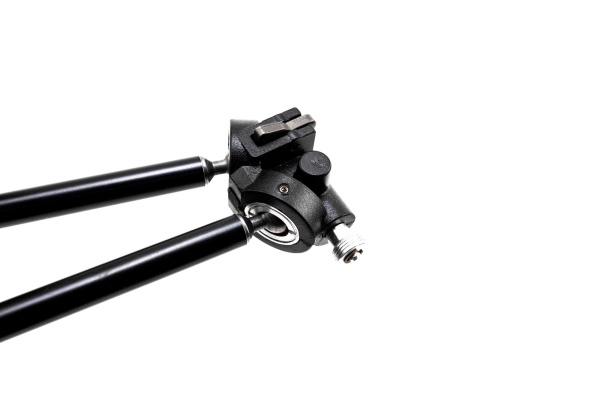 BD1A7200_resized BD1A7200_resized