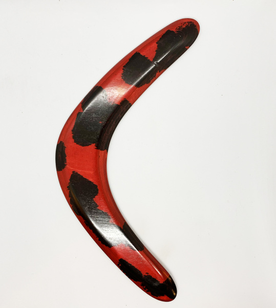 Бумеранг-5_0003 Бумеранг-5_0003