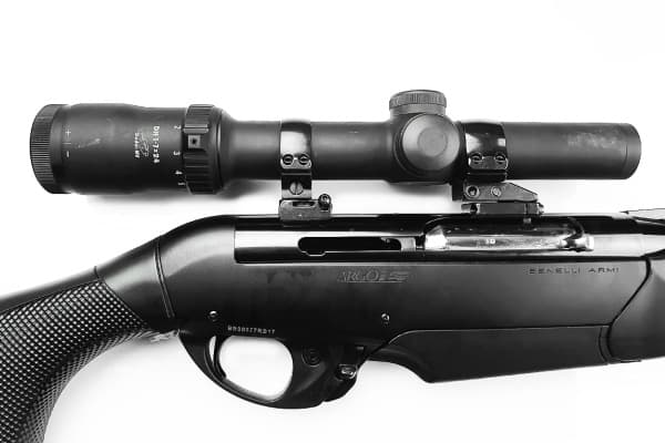 20241224_182000 20241224_182000