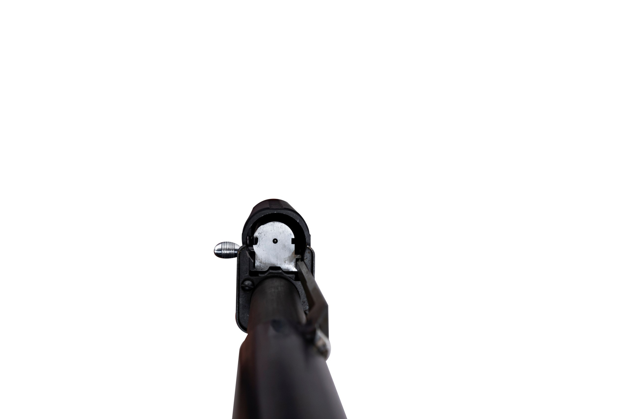 BD1A6635_resized BD1A6635_resized