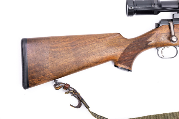 BD1A6582_resized BD1A6582_resized