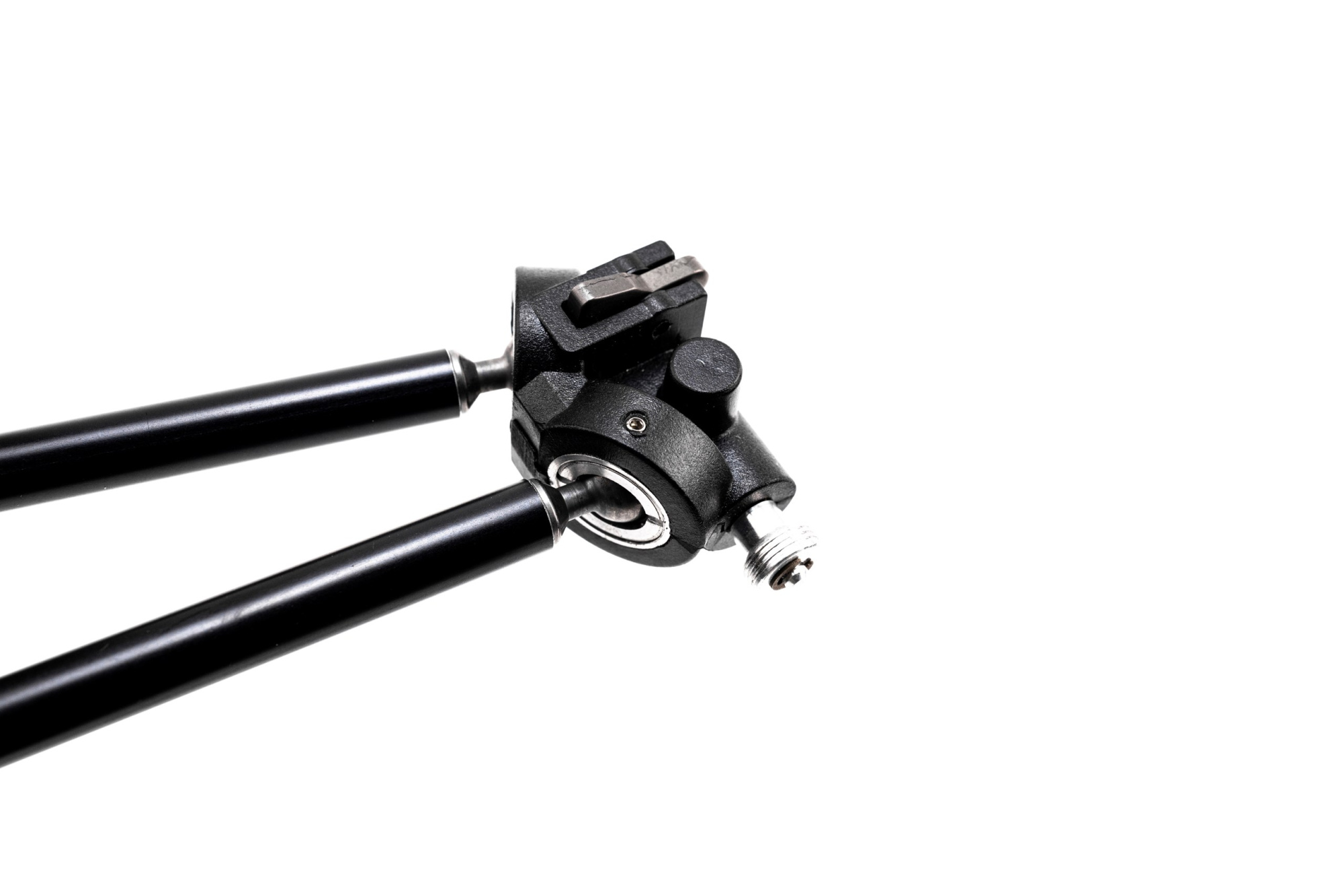 BD1A7200_resized BD1A7200_resized