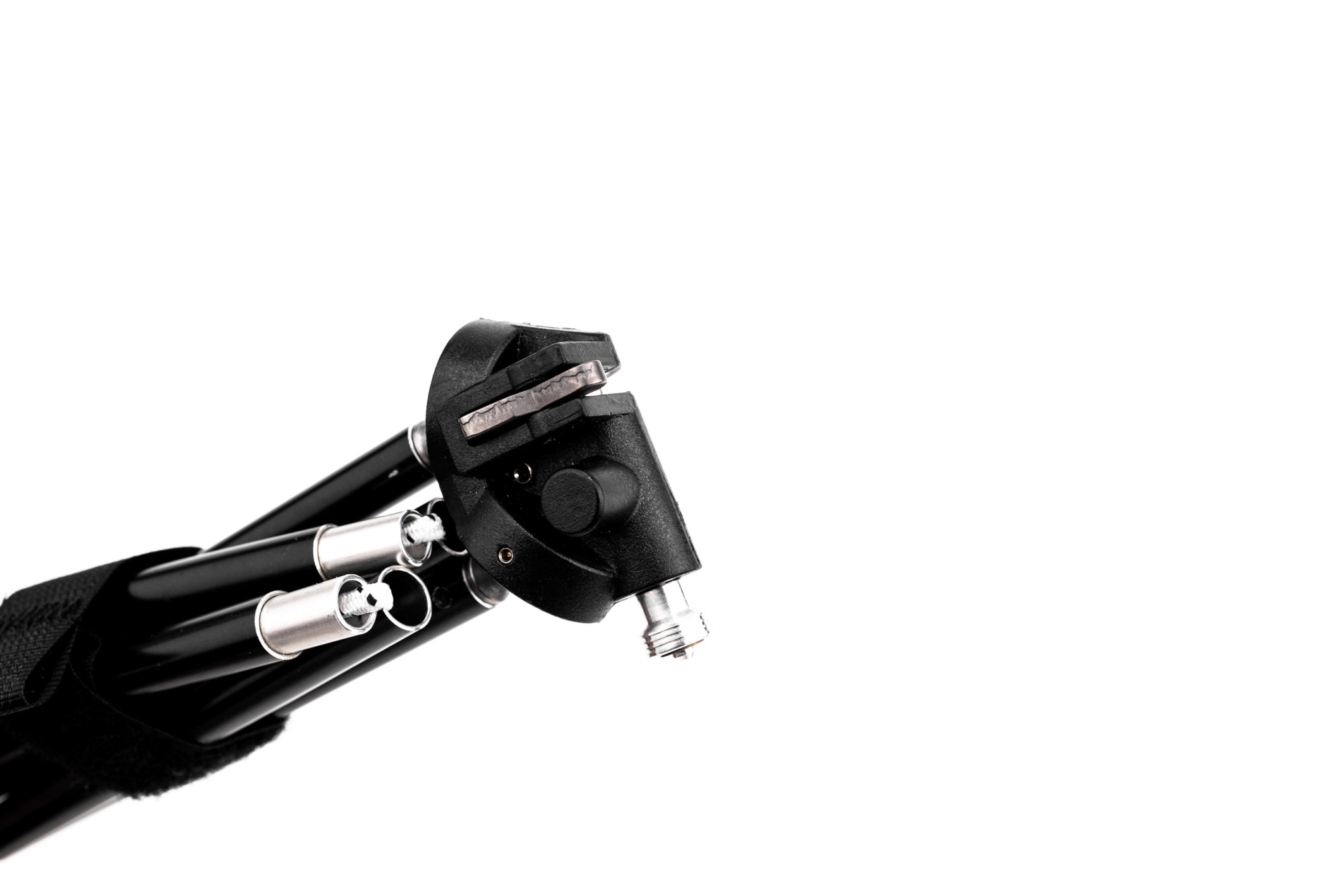 BD1A7112_resized BD1A7112_resized