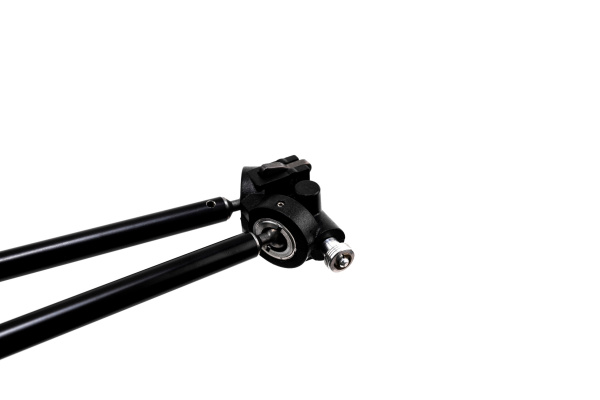 BD1A7186_resized BD1A7186_resized