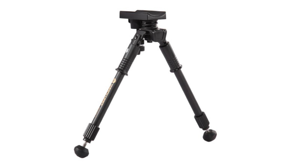 T0952398_0001(1) T0952398_0001(1)