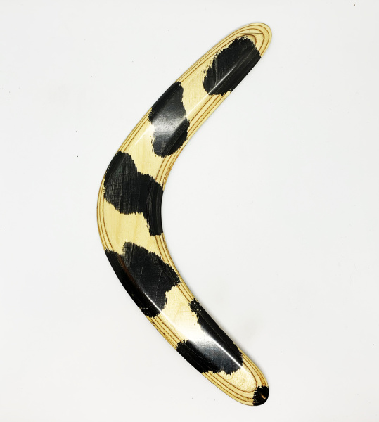 Бумеранг-5_0004 Бумеранг-5_0004