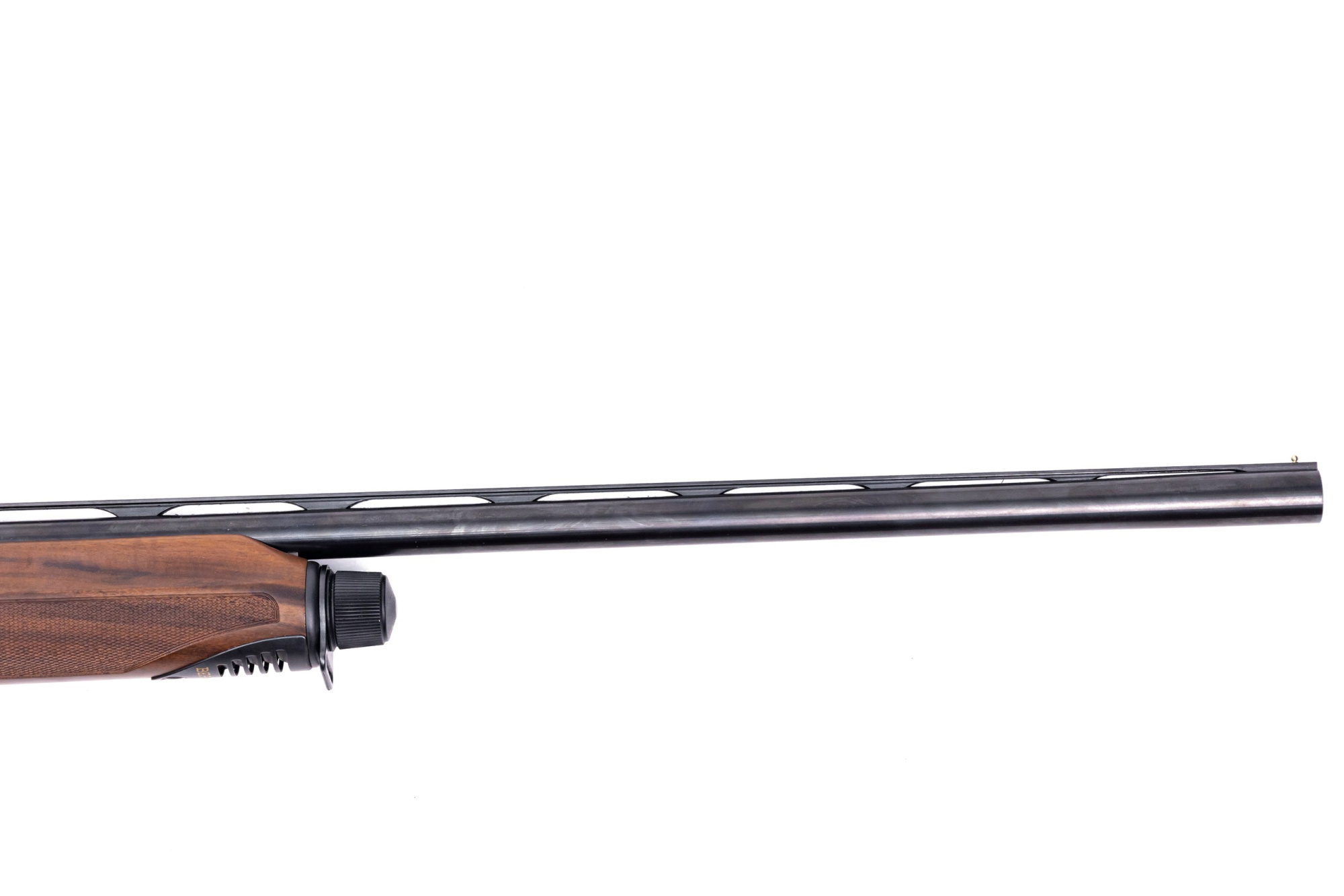 BD1A6625_resized BD1A6625_resized