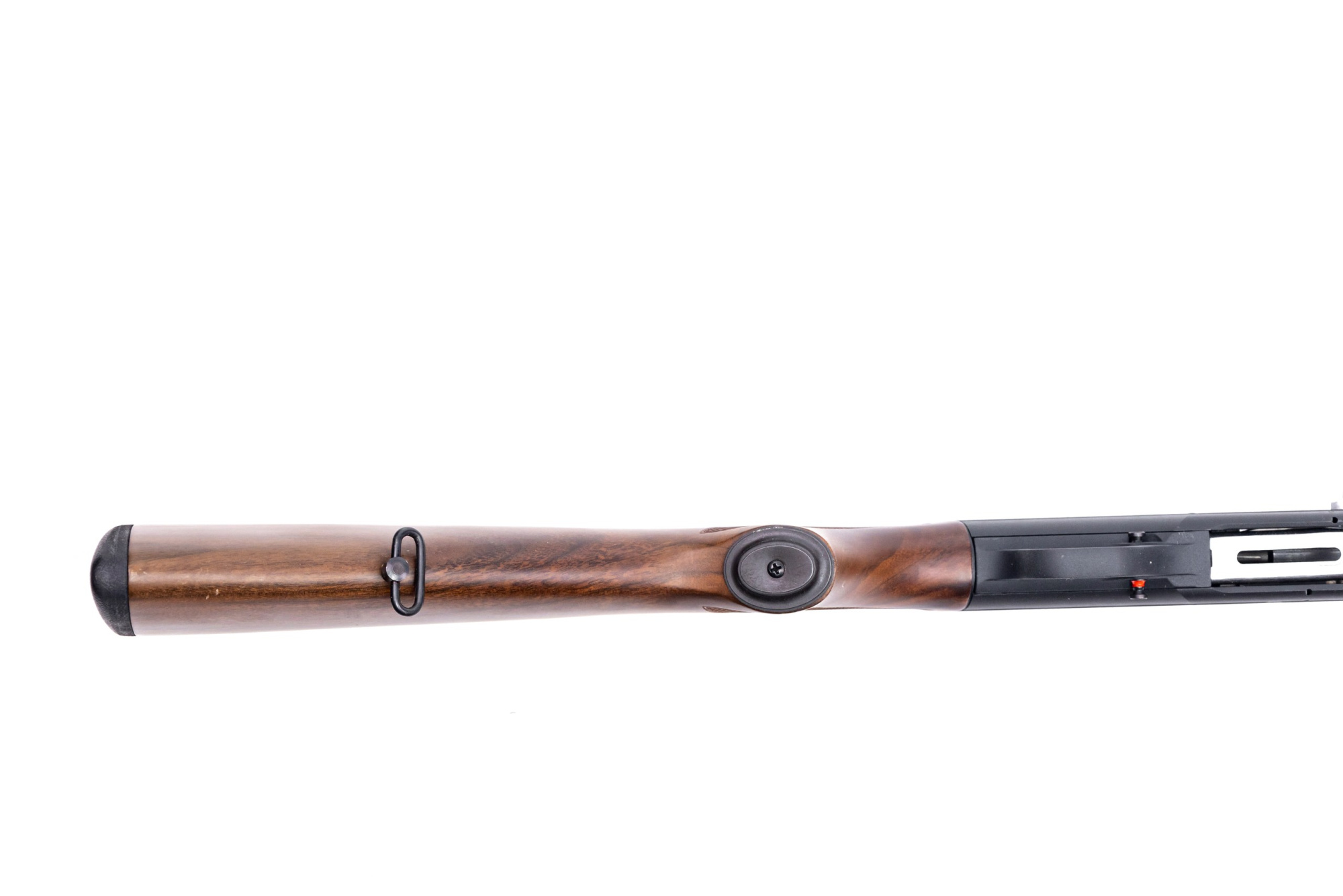 BD1A6626_resized BD1A6626_resized