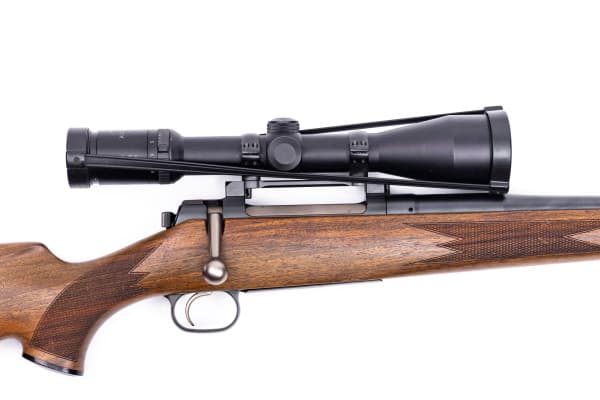 BD1A6581_resized BD1A6581_resized