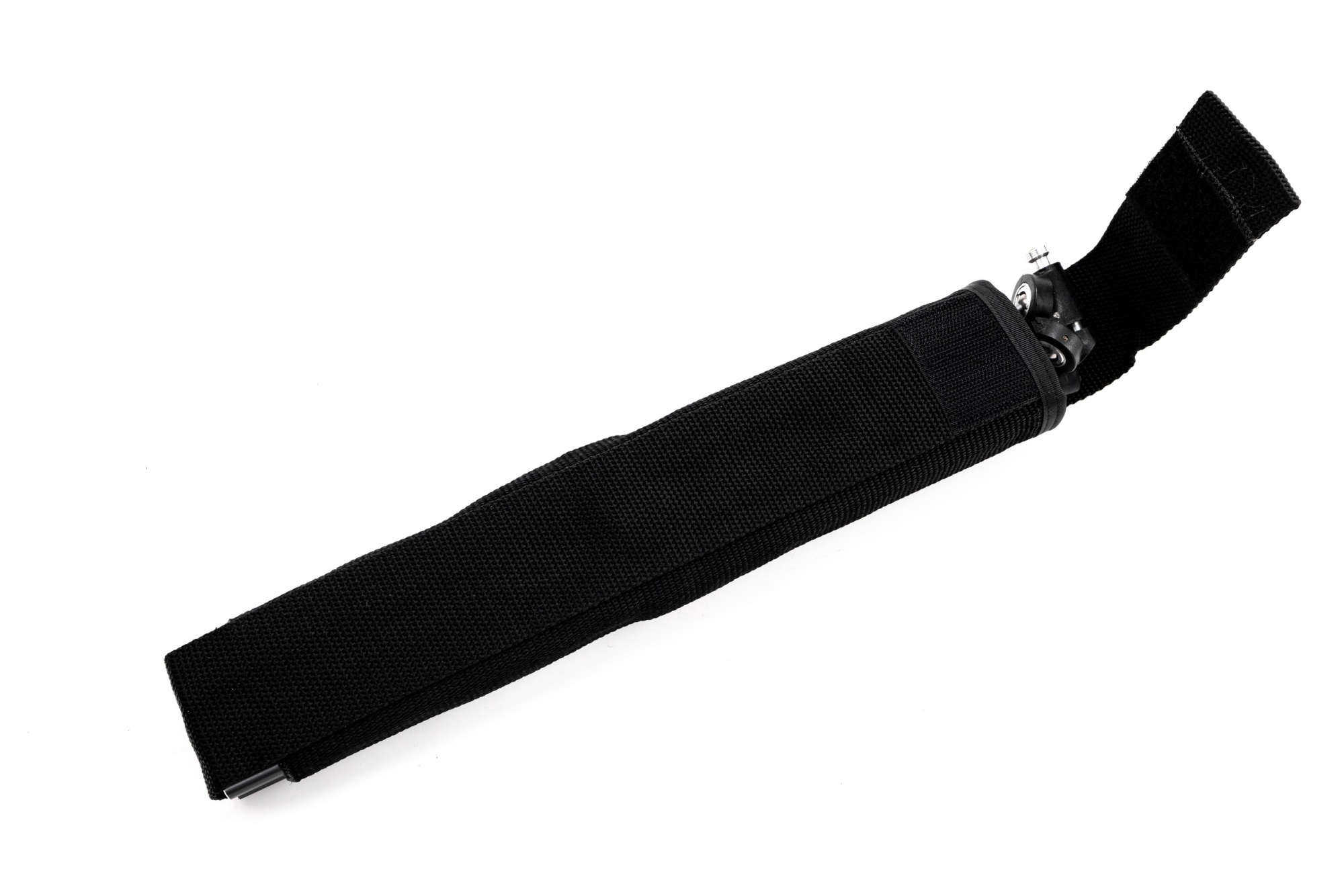 BD1A7206_resized BD1A7206_resized