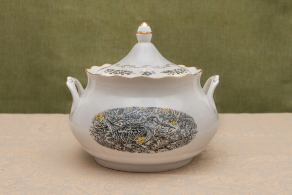 akhj88s1kkggcws00w8wsw0ggskoo4 akhj88s1kkggcws00w8wsw0ggskoo4