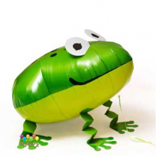 Шар ходячий лягушка. Шары с гелием Заказ шаров с гелием с круглосуточной доставкой. Мимо Дутти, Москва