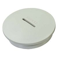 Заглушка PG48 резьбовое соединение полиамид сер. (уп.10шт) HAUPA 250230 Заглушка PG48 резьбовое соединение полиамид сер. (уп.10шт) HAUPA 250230