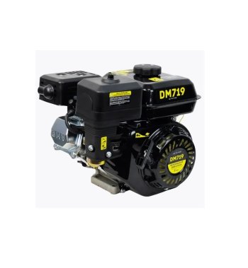 фото Двигатель бензиновый DM719