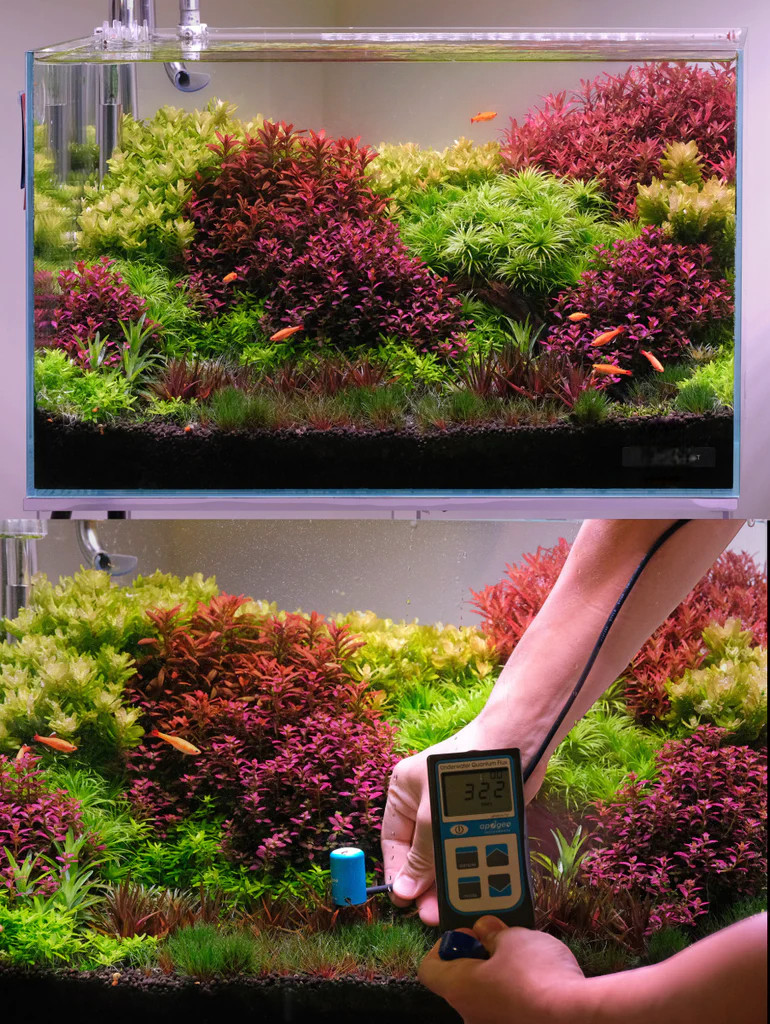 Растения под осветление Week aqua a430 Растения под осветление Week aqua a430