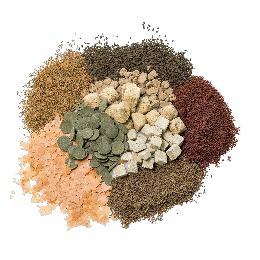 Богато разнообразие от храни за декоративни рибки храна а рибки