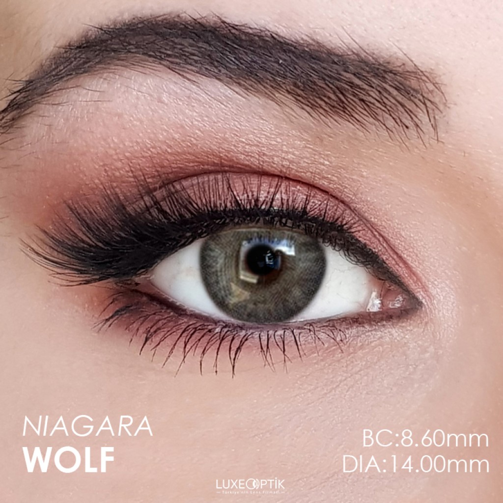 Fx Eyes Gri Renk Niagara Wolf (3 Aylık)