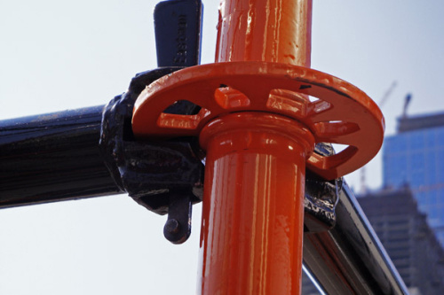 Клиновые леса