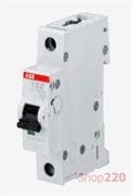 Автоматический выключатель 50А, 1 полюс, тип B, SZ201-B50 ABB 2CDS251025R0505 Автоматический выключатель 50А, 1 полюс, тип B, SZ201-B50 ABB 2CDS251025R0505