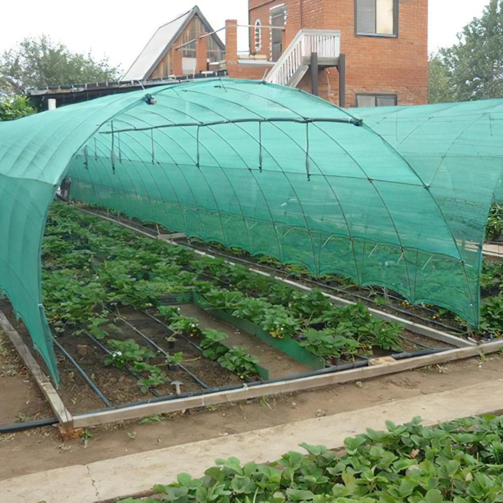 //cdn.optipic.io/site-1367/blog/obzory-tovarov/zatenyayushchaya-setka-nadezhnaya-zashchita-rasteniy-ot-solntsa-zhary-i-peregreva/70_d198231e4b4ad9abcb03c6b24a2dd361_2023-10-19_13-14-37.jpeg //cdn.optipic.io/site-1367/blog/obzory-tovarov/zatenyayushchaya-setka-nadezhnaya-zashchita-rasteniy-ot-solntsa-zhary-i-peregreva/70_d198231e4b4ad9abcb03c6b24a2dd361_2023-10-19_13-14-37.jpeg