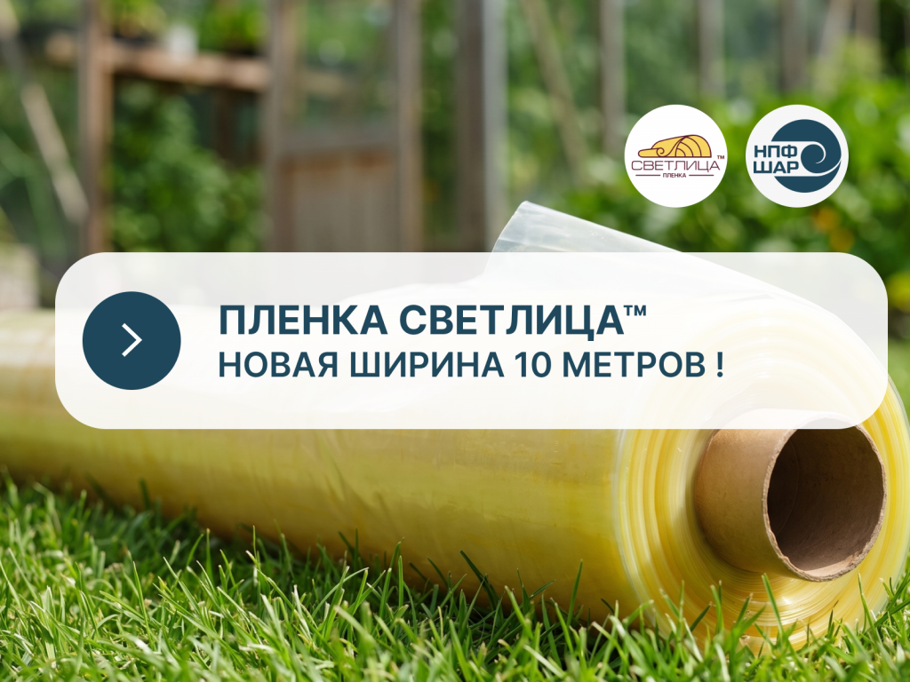 светлица на траве светлица на траве