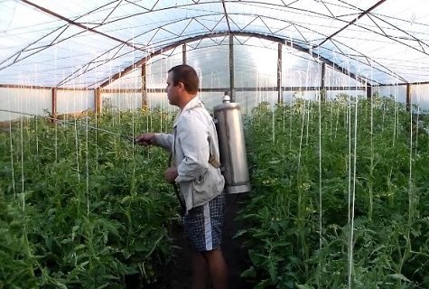 Химическая обработка теплицы Химическая обработка теплицы