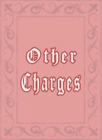 Other Charges