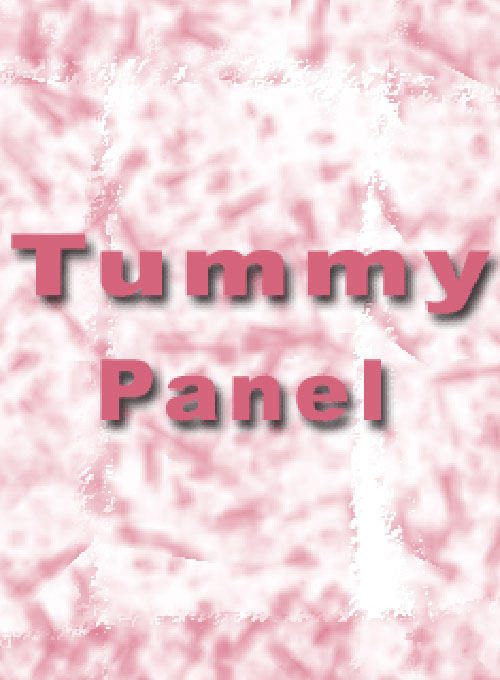 Tummy Control Panel