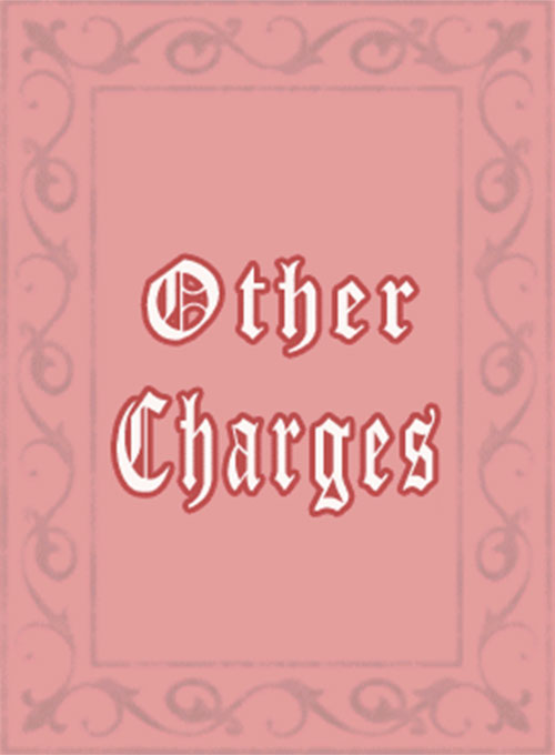 (image for) Other Charges - Click Image to Close