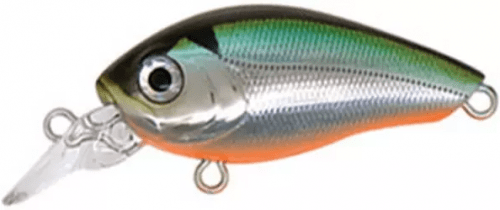 Воблер TSURIBITO BABY CRANK 35F-SR / 521 METTALIC HG.WAKASAGI ORANGE BELLY				