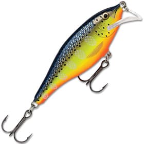 Воблер Rapala Scatter Rap Shad плавающий 1,5-2,1м, 5см 5гр / SCRS05-HS