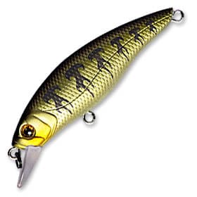 Воблер FISHYCAT STRAYCAT 55F / X04