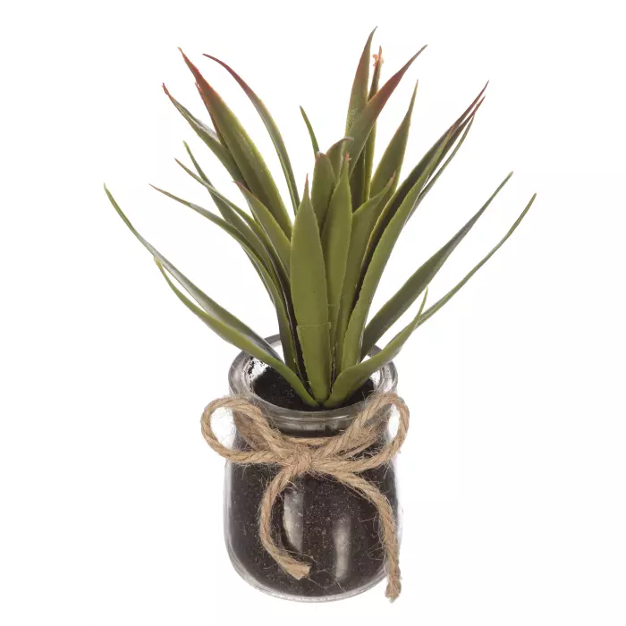Cactus Yuca artificial maceta cristal · Planta artificiales · Crasa y cactus artificiales Cactus Yuca artificial maceta cristal · Planta artificiales · Crasa y cactus artificiales