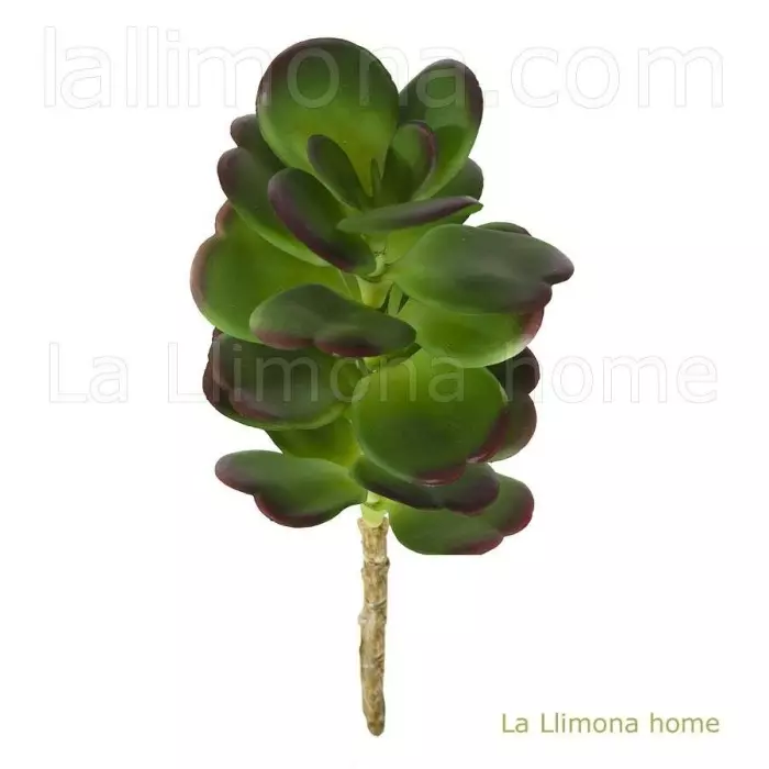 Planta crasa artificial mini crásula ovata verde 25 · Crasas y cactus artificiales · La Llimona home Planta crasa artificial mini crásula ovata verde 25 · Crasas y cactus artificiales · La Llimona home