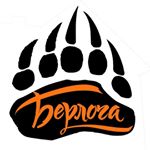 Сауна в пансионате Берлога