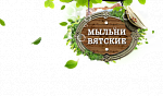 Мыльни Вятские