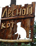 Баня на базе отдыха Лесной кот