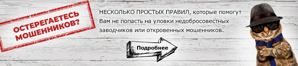 Будьте бдительны Как не стать жертвой аферистов