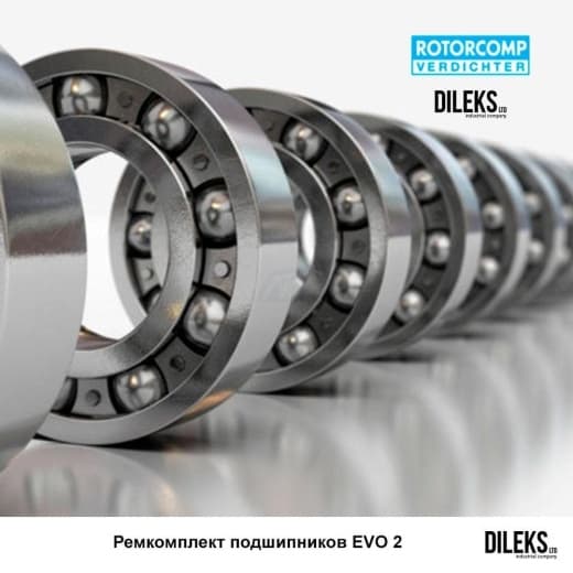 Ремкомплект подшипников ROTORCOMP EVO2 (129824) Ремкомплект подшипников ROTORCOMP EVO2 (129824)