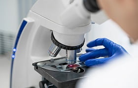 Полная конфиденциальность и цифровая доступность результатов