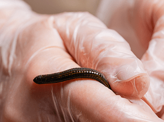 Что входит в программу «Красивая фигура в любое время года»