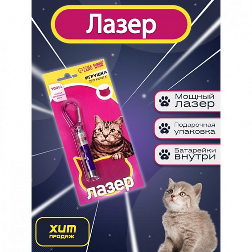 Лазер "FUNNY TOYS" для кошек, фиолет. 5305852